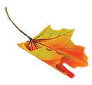 leaf-5.png