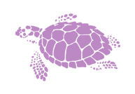 pink_trurle_vec.png