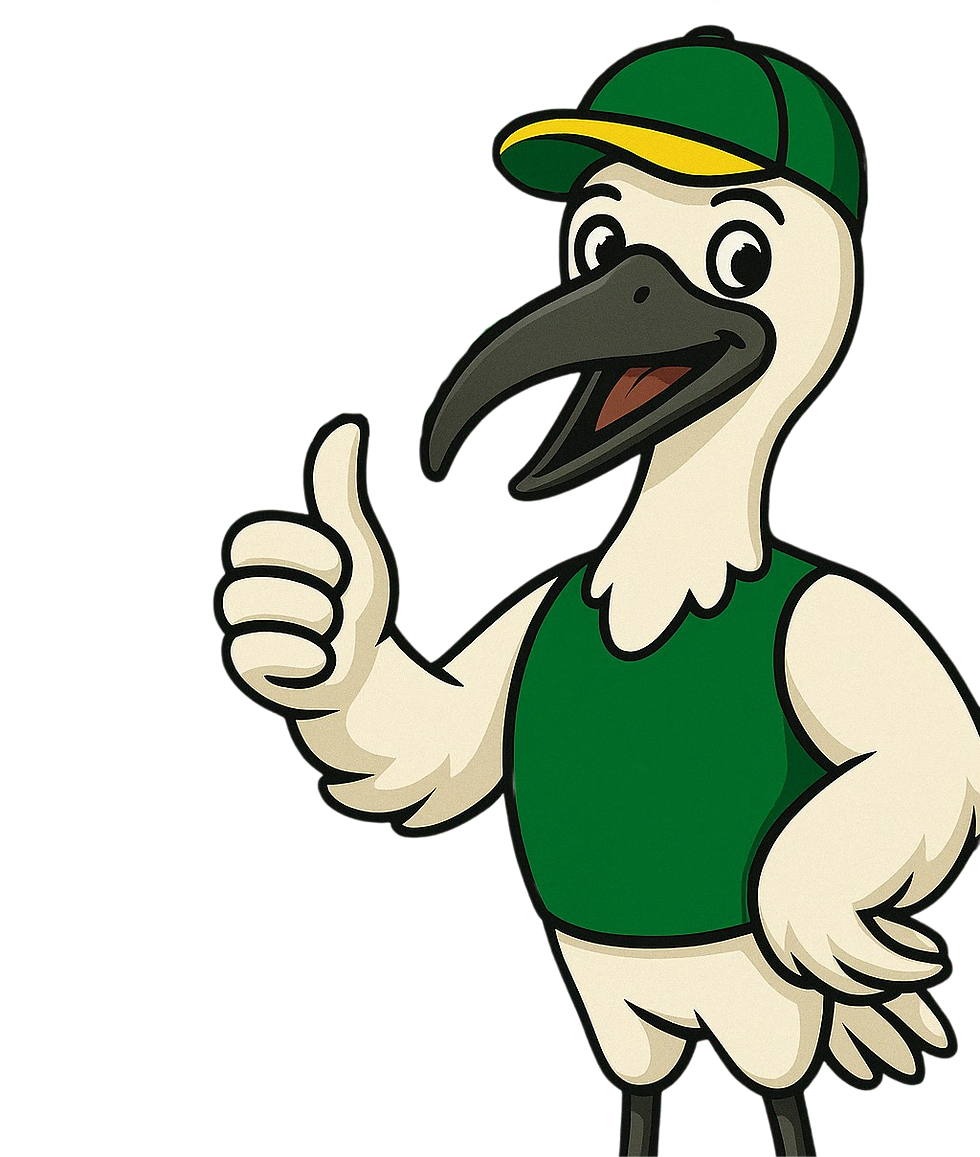 1300 Junk Taxi Bin Chicken