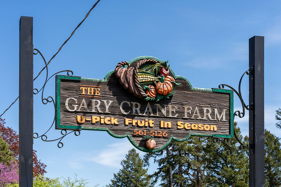 u-pick farm sign made of wood against a blue sky