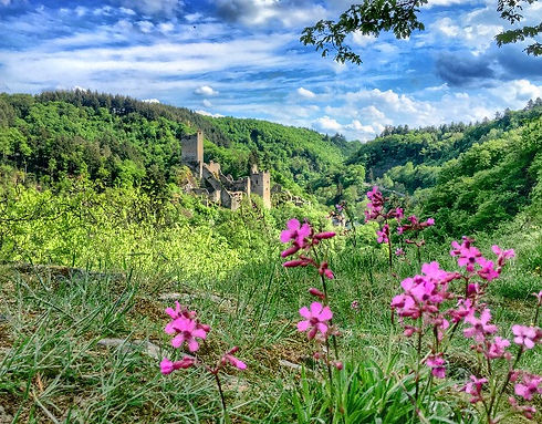Manderscheider Burgen in der Vulkaneifel