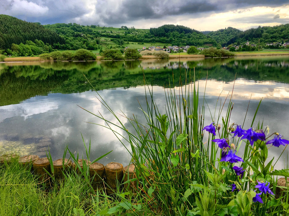 Meerfelder Maar in der Vulkaneifel