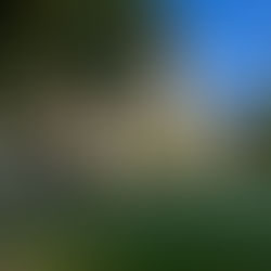 Client news: Queen's College, Taunton are finalists in National Game Awards