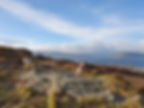 Gourock Moors