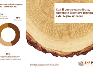 Nuovo incasso SHF: un contributo per il futuro del legno svizzero