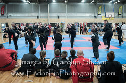 CarolynShearnPhotography Senjo Nov 2016-0640