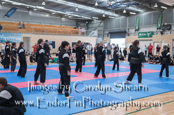 CarolynShearnPhotography Senjo Nov 2016-0662