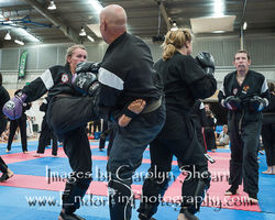 CarolynShearnPhotography Senjo Nov 2016-0700