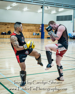 CarolynShearnPhotography Senjo Nov 2016-0493