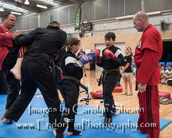 CarolynShearnPhotography Senjo Nov 2016-0863