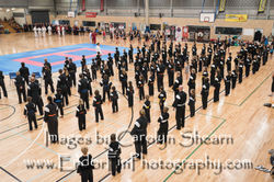 CarolynShearnPhotography Senjo Nov 2016-0188