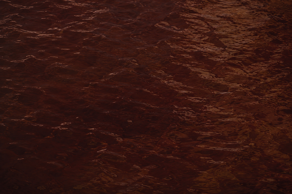 E23D21C4-6320-4673-AB56-B992AE928A6F.PNG
