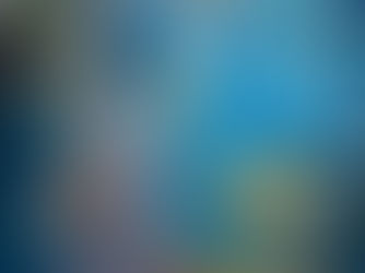 Vernissage de l’exposition « Couleurs Attitudes »