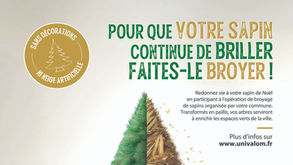 🎄 COLLECTE ET RECYCLAGE DES SAPINS DE NOËL 🎄