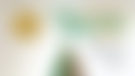 🎄 COLLECTE ET RECYCLAGE DES SAPINS DE NOËL 🎄