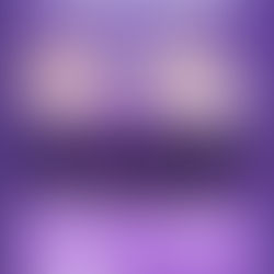 SEMAINE CONTRE LES VIOLENCES FAITES AUX FEMMES