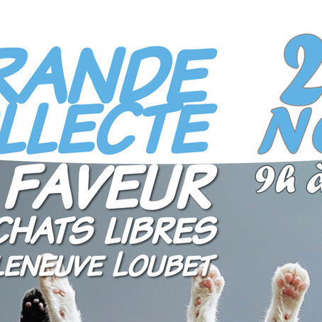 📢 GRANDE COLLECTE - CHATS LIBRES - SAM. 22 NOVEMBRE DE 9H À 16H 🐾