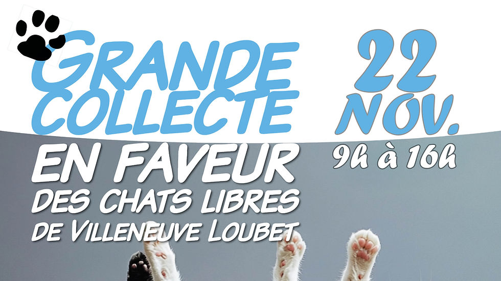 📢 GRANDE COLLECTE - CHATS LIBRES - SAM. 22 NOVEMBRE DE 9H À 16H 🐾