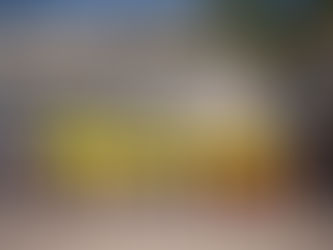 Nos (jeunes) sauveteurs en mer