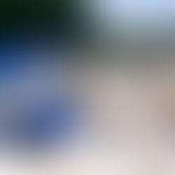 🎲 "Conspiration au bord du loup" — Le jeu 100 % villeneuvois à découvrir dès maintenant !