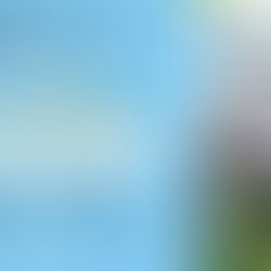 🎭 THÉÂTRE - "VACANCES OBLIGATOIRES" - VENDREDI 6 FÉVRIER À 21H 🎭