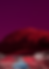 RiverSounds.png