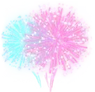Fireworks Show - 1099.webp