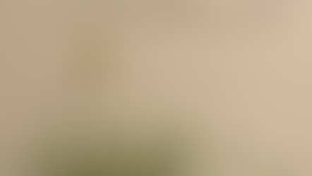 🌸 NGÀY 8/3, XIN CHÚC PHÁI NỮ HAI CHỮ VỪA VẶN 🌸 