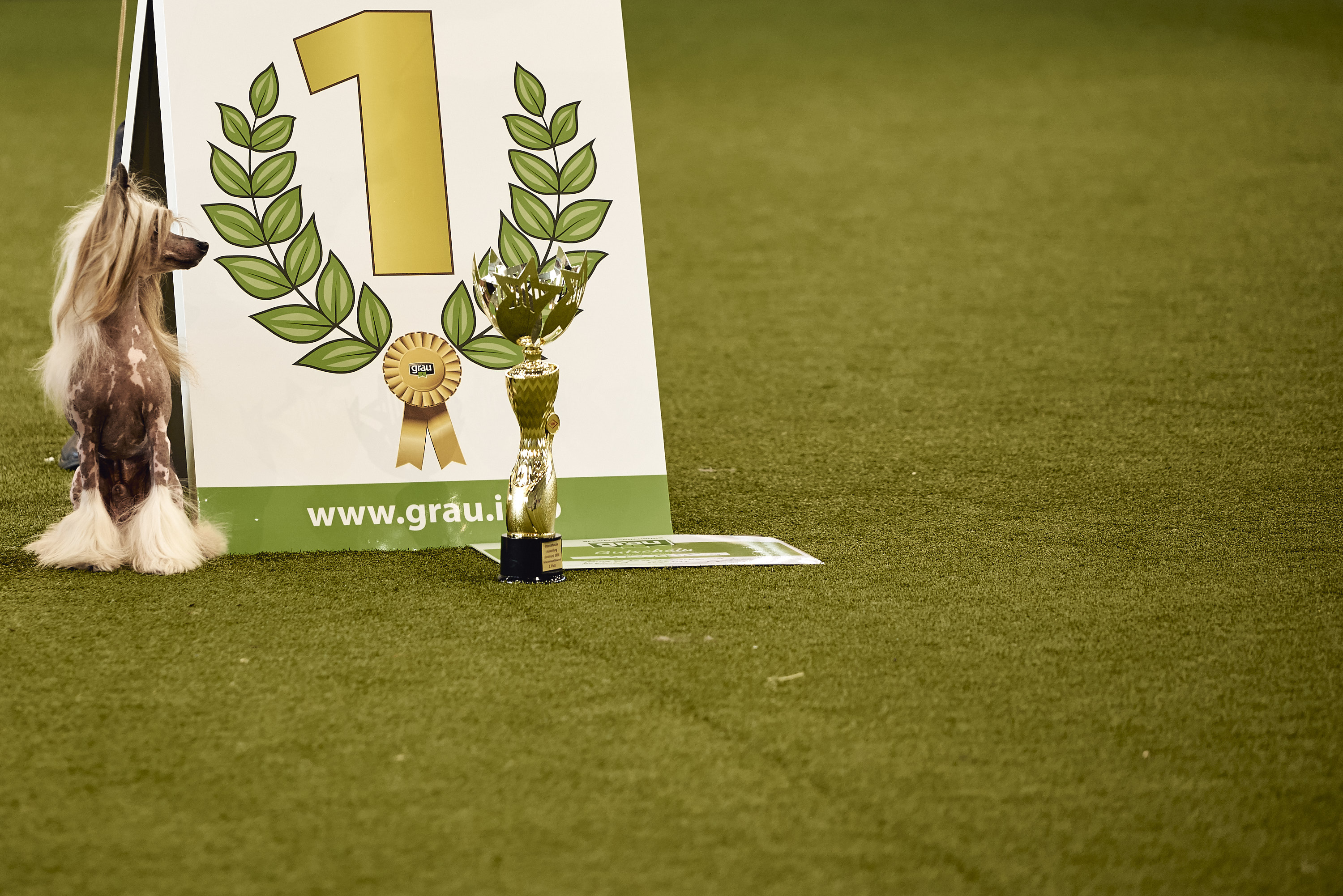 The winner is... | Dortmund
