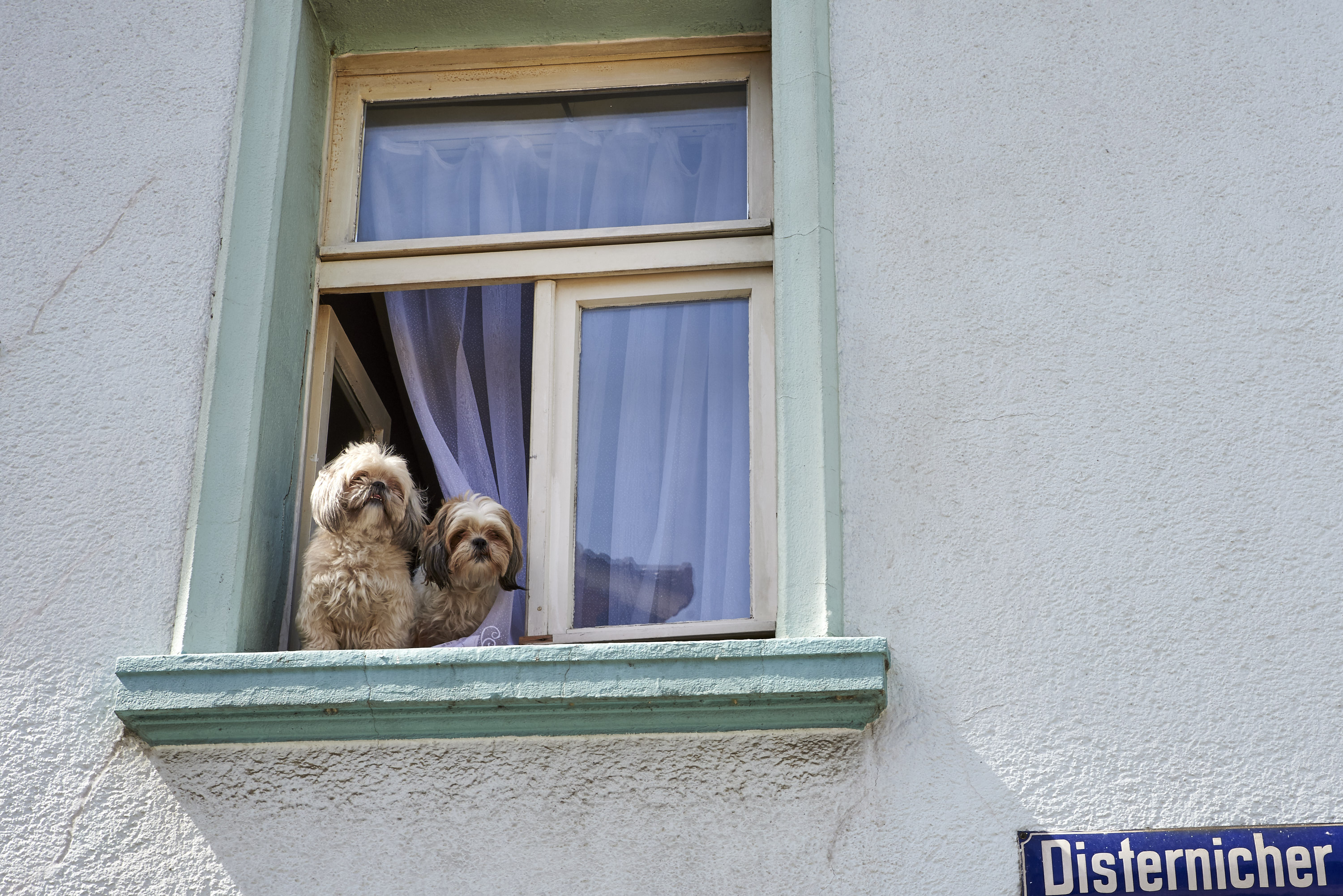 Zimmer mit Aussicht | Euskirchen