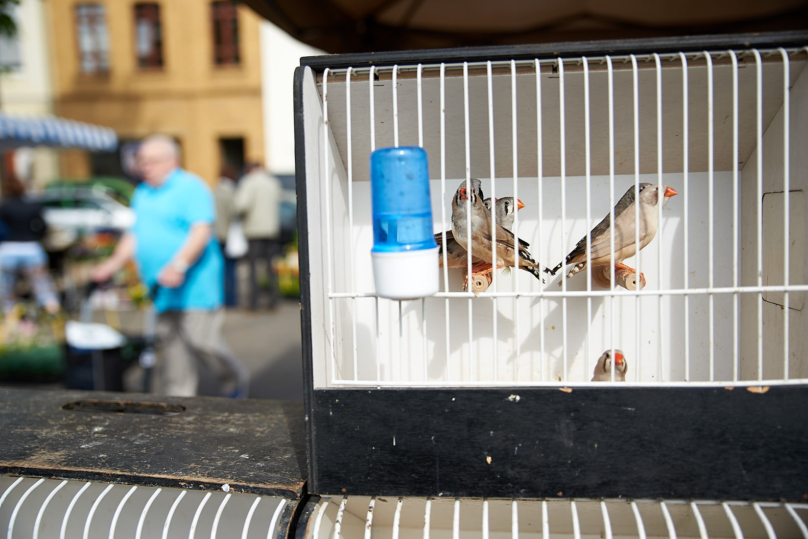 Markt | Euskirchen