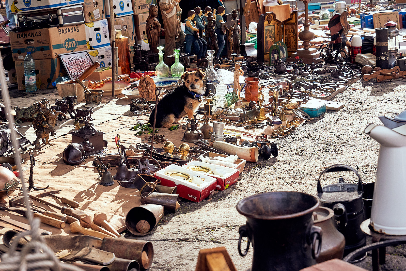 Antiker Hund | Porzellan | Lissabon