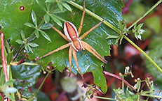 IMG_0160.JPG