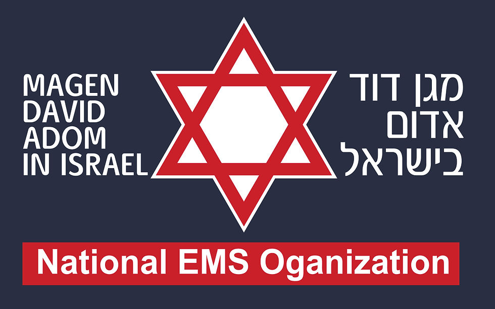 Thumbnail: Israel EMS Long Sleeve T-shirt