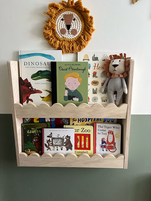 Childrens book sales shelves wall mounted