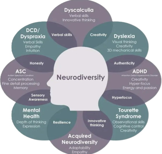 Diagrama de neurodiversidad con una silueta de cabeza en el centro. Rodeada de palabras sobre dislexia, TDAH, autismo y más. Colores morados.