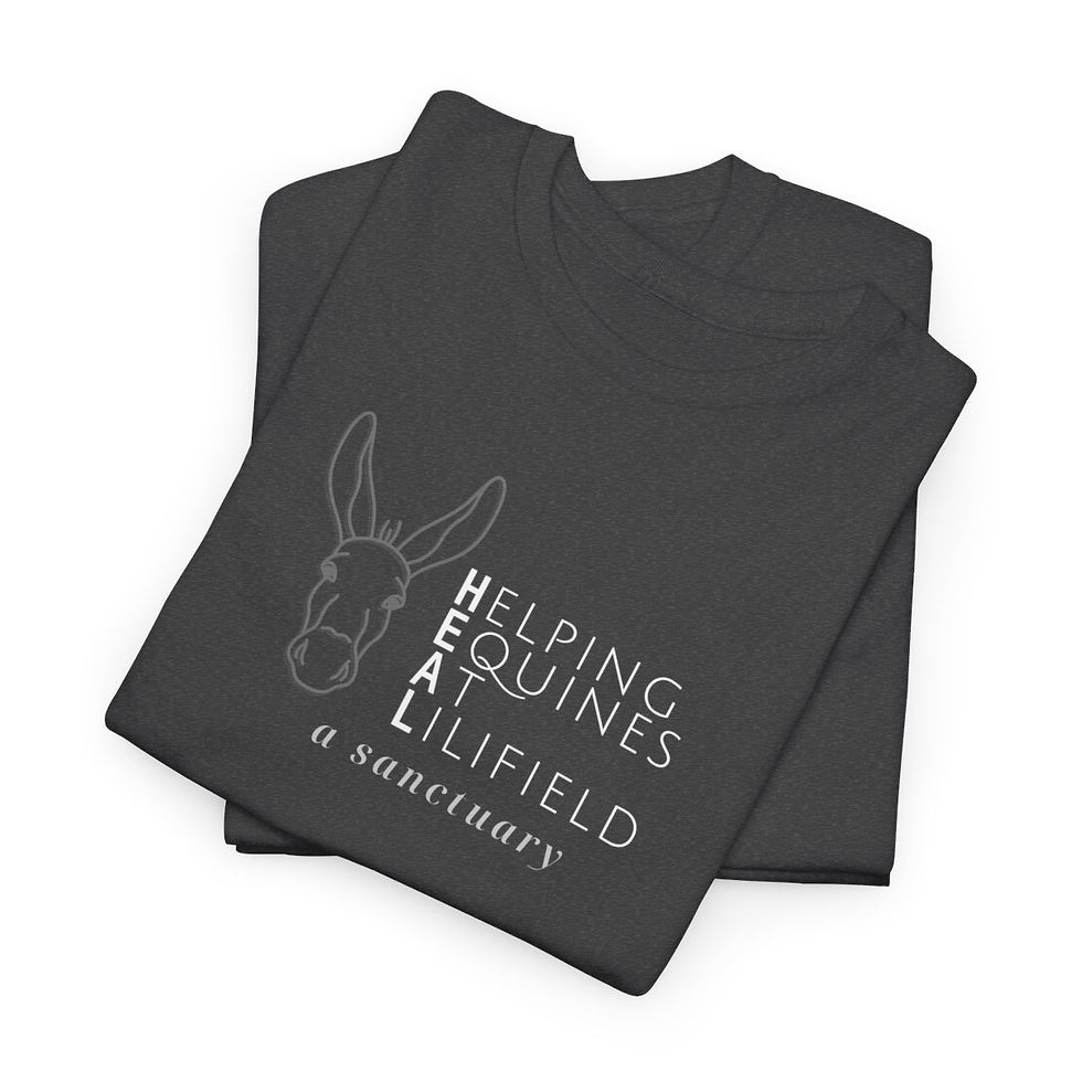 Thumbnail: Unisex Heavy Cotton Tee