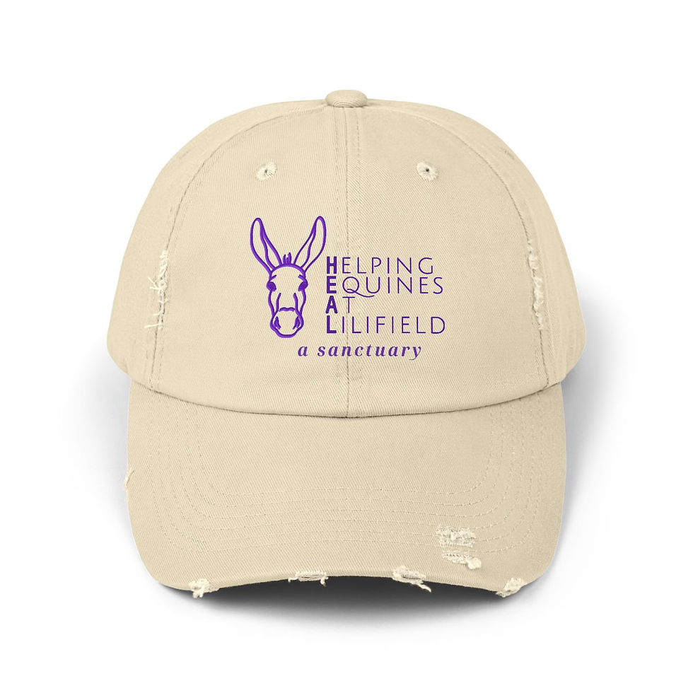 Thumbnail: Unisex Distressed Cap
