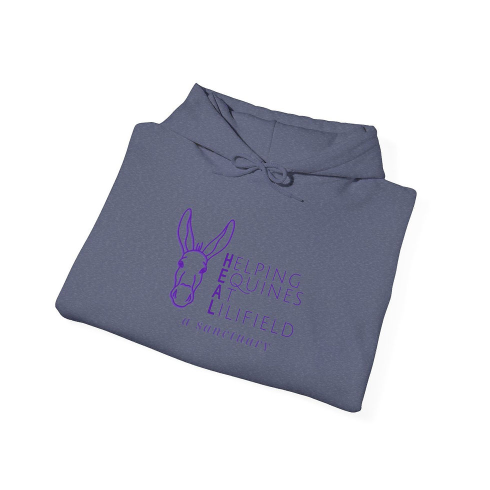 Thumbnail: Unisex Heavy Blend™ Hooded Sweatshirt