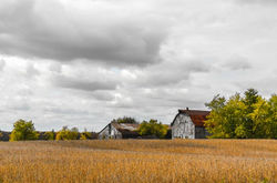 Escarpment Farm