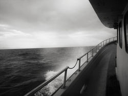 IMG_0017