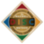 MaxwellDISCMethod_seal_trainer(1).png