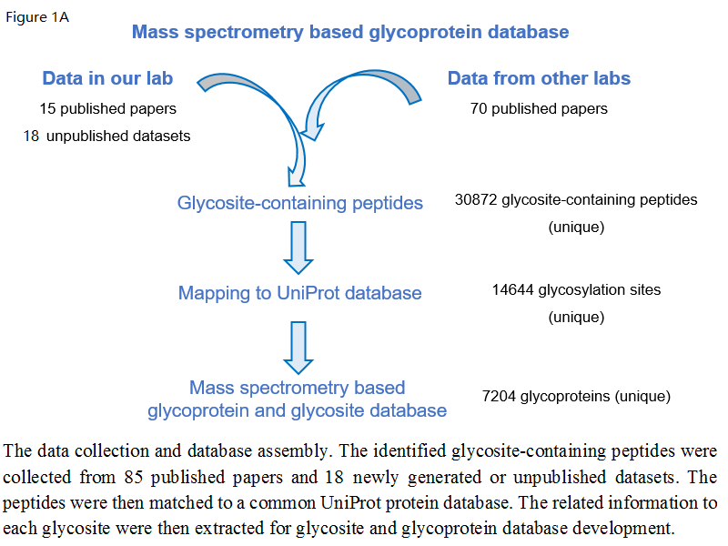 Figure1A