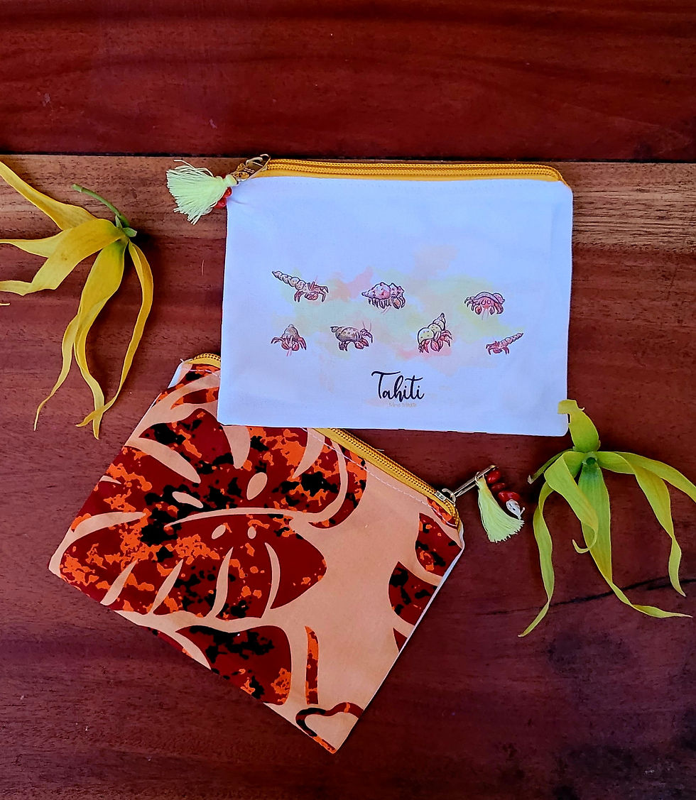 Miniature : Pochette locale "aquarelle"