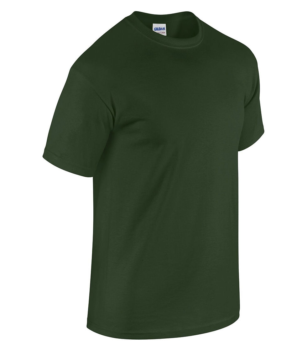 Miniature : GILDAN - T-SHIRT heavy cotton - 5000