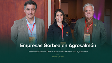 Empresas Gorbea participó en el Workshop Desafíos del Encadenamiento Productivo Agrosalmón