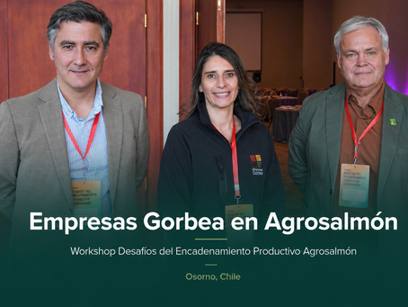 Empresas Gorbea participó en el Workshop Desafíos del Encadenamiento Productivo Agrosalmón