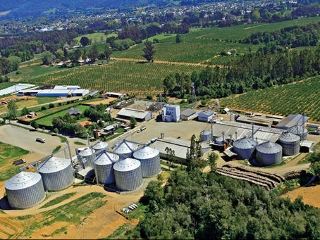 Empresas Gorbea: más de 30 años conectando agricultura, industria y nutrición desde La Araucanía