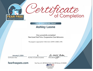 Cert 3.png
