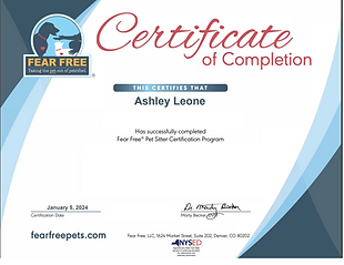 Cert 2.png